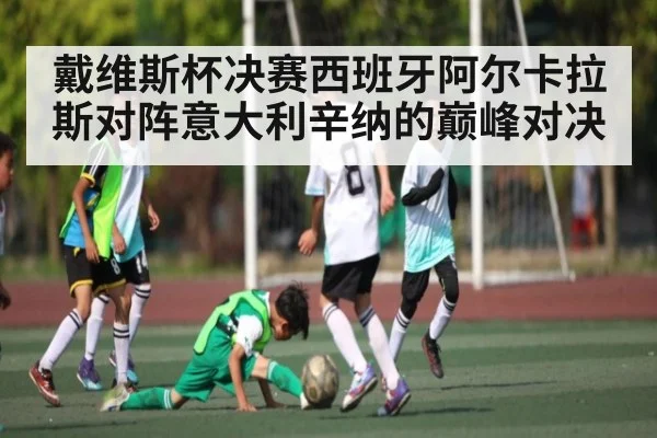 戴维斯杯决赛西班牙阿尔卡拉斯对阵意大利辛纳的巅峰对决